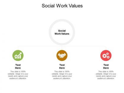 Social work values ppt powerpoint presentation portfolio icons cpb