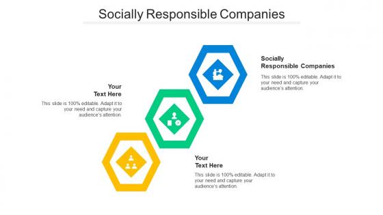 Socially Responsible Companies Ppt Powerpoint Presentation File Deck Cpb