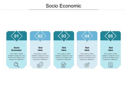 Socio economic ppt powerpoint presentation portfolio design templates cpb