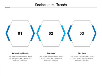 Sociocultural trends ppt powerpoint presentation slides designs download cpb