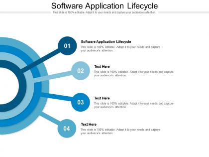 Software application lifecycle ppt presentation gallery example file cpb