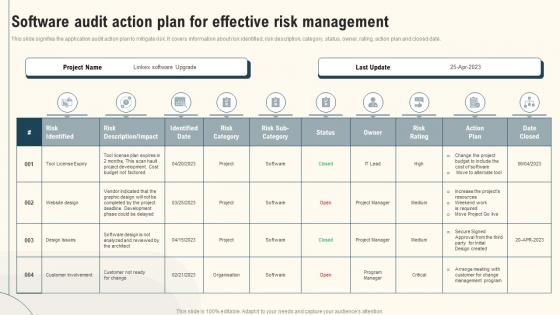 Software Audit Action Plan For Effective Risk Management