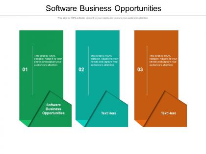 Software business opportunities ppt powerpoint presentation infographics example cpb