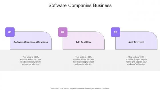 Software Companies Business In Powerpoint And Google Slides Cpb