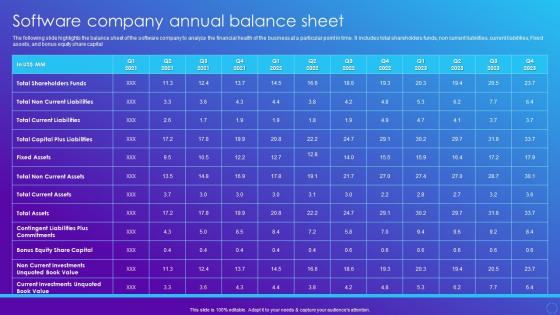 Software Company Annual Balance Sheet Software Company Financial Summary Report