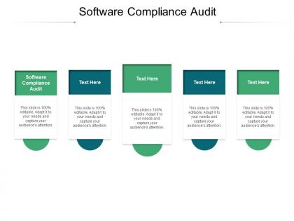 Software compliance audit ppt powerpoint presentation styles clipart cpb