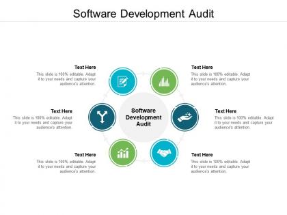 Software development audit ppt powerpoint presentation styles icons cpb