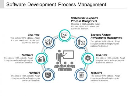 Software development process management success factors performance management cpb
