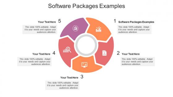 Software packages examples ppt powerpoint presentation infographics backgrounds cpb