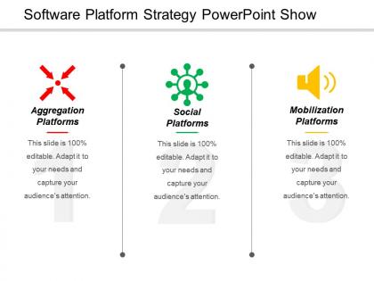Software platform strategy powerpoint show