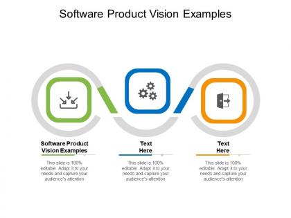 Software product vision examples ppt powerpoint presentation designs download cpb