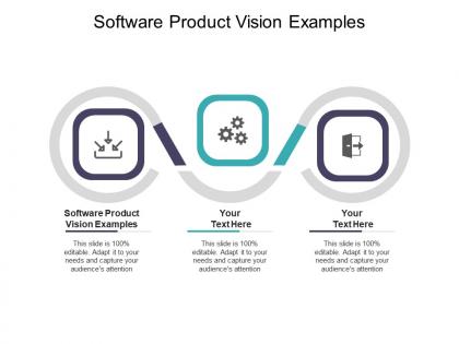 Software product vision examples ppt powerpoint presentation icon portrait cpb