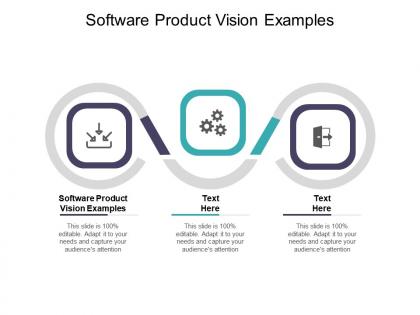 Software product vision examples ppt powerpoint presentation styles slide download cpb