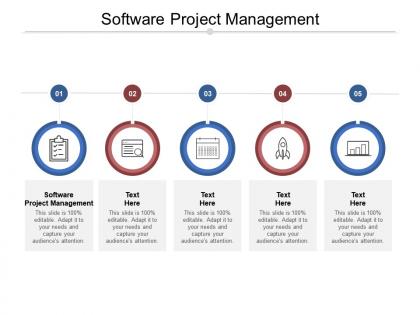 Software project management ppt powerpoint presentation file guidelines cpb