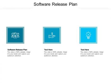 Software release plan ppt powerpoint presentation professional slide download cpb