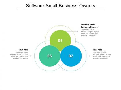 Software small business owners ppt layouts example introduction cpb