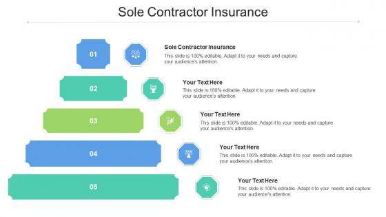 Sole Contractor Insurance Ppt Powerpoint Presentation Infographic Template Show Cpb