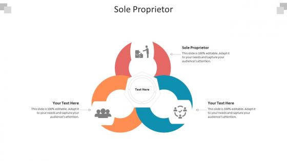 Sole proprietor ppt powerpoint presentation professional background image cpb