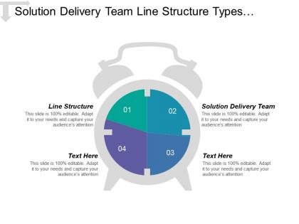 Solution delivery team line structure types organizational structure