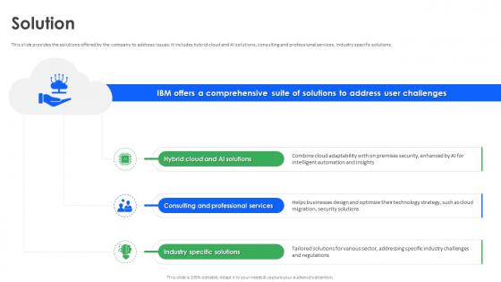 Solution IBM Business Model Ppt Ideas BMC SS