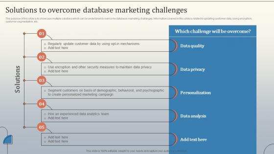 Solutions To Overcome Database Marketing Challenges Database Marketing Strategies MKT SS V