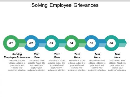 Solving employee grievances ppt powerpoint presentation show visuals cpb