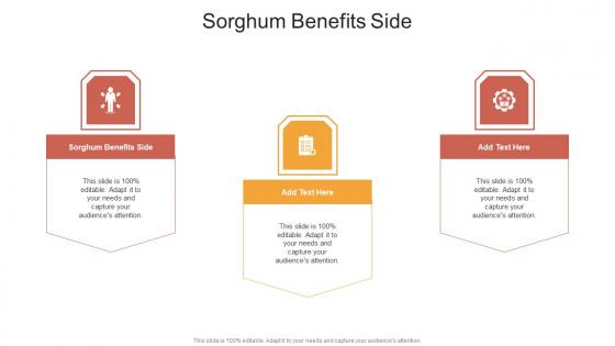 Sorghum Benefits Side In Powerpoint And Google Slides Cpb