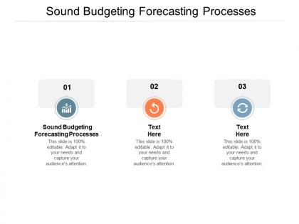 Sound budgeting forecasting processes ppt powerpoint presentation infographics background cpb