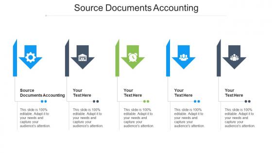 Source Documents Accounting Ppt Powerpoint Presentation Infographics Graphics Template Cpb