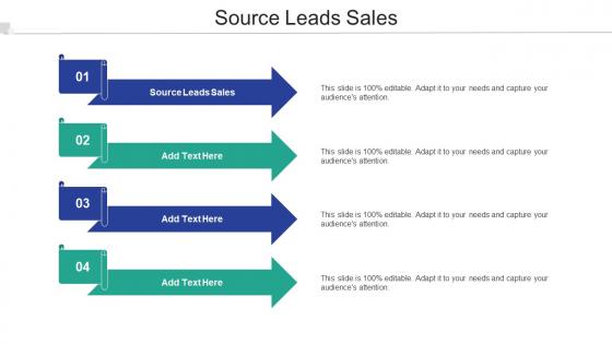 Source Leads Sales Ppt Powerpoint Presentation Styles Display Cpb