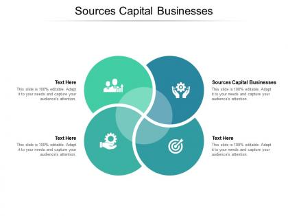 Sources capital businesses ppt powerpoint presentation infographics examples cpb