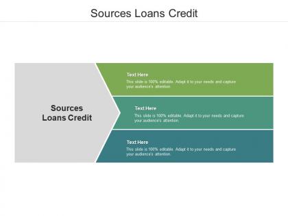 Sources loans credit ppt powerpoint presentation pictures slide portrait cpb