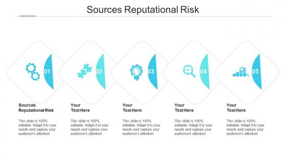 Sources reputational risk ppt powerpoint presentation tips cpb