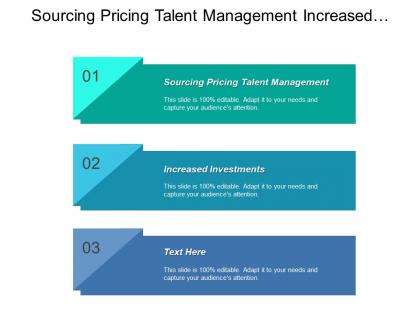 Sourcing pricing talent management increased investments focused execution
