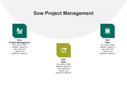 Sow project management ppt powerpoint presentation infographic template deck cpb
