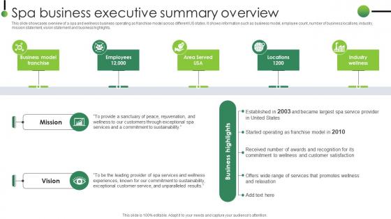 Spa Business Executive Summary Overview Strategic Plan To Enhance Digital Strategy SS V