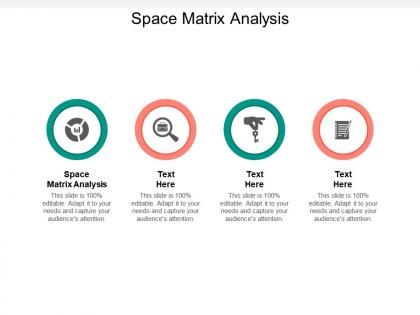 Space matrix analysis ppt powerpoint presentation professional good cpb