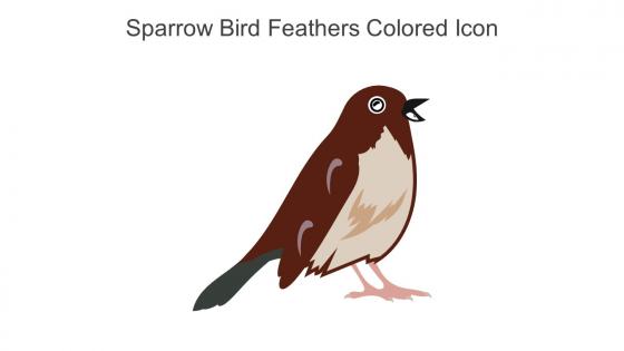 Sparrow Bird Feathers Colored Icon In Powerpoint Pptx Png And Editable Eps Format