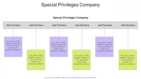 Special Privileges Company In Powerpoint And Google Slides Cpb