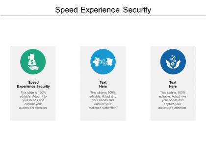 Speed experience security ppt powerpoint presentation file example topics cpb