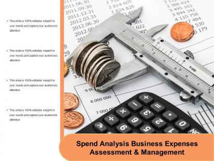 Spend analysis business expenses assessment and management