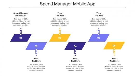 Spend Manager Mobile App Ppt Powerpoint Presentation Diagram Cpb