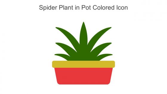 Spider Plant In Pot Colored Icon In Powerpoint Pptx Png And Editable Eps Format