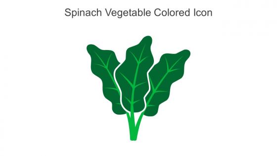 Spinach Vegetable Colored Icon In Powerpoint Pptx Png And Editable Eps Format