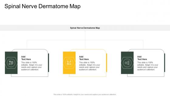 Spinal Nerve Dermatome Map In Powerpoint And Google Slides Cpb