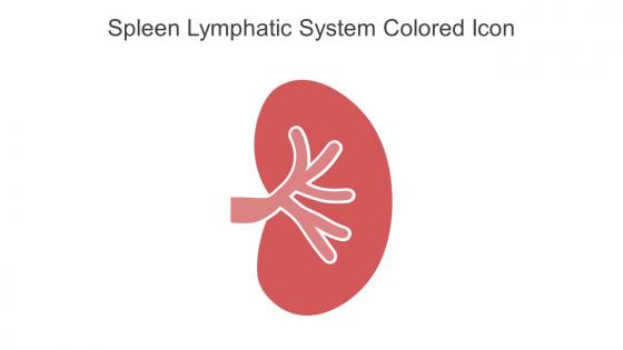 Spleen Lymphatic System Colored Icon In Powerpoint Pptx Png And Editable Eps Format