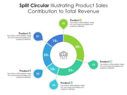Split circular illustrating product sales contribution to total revenue
