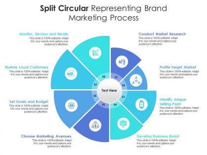 Split circular representing brand marketing process