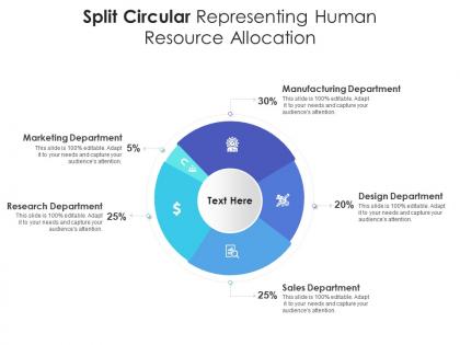 Split circular representing human resource allocation