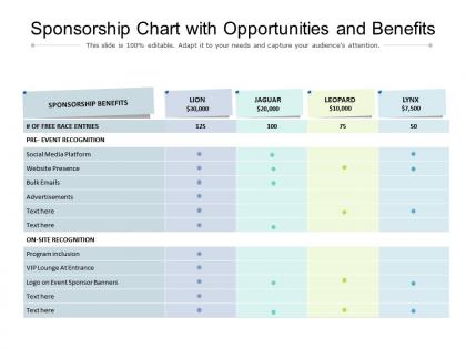 Sponsorship chart with opportunities and benefits